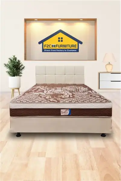Onebed Type Jacksonville